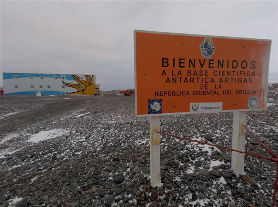 Royal en la Antártida